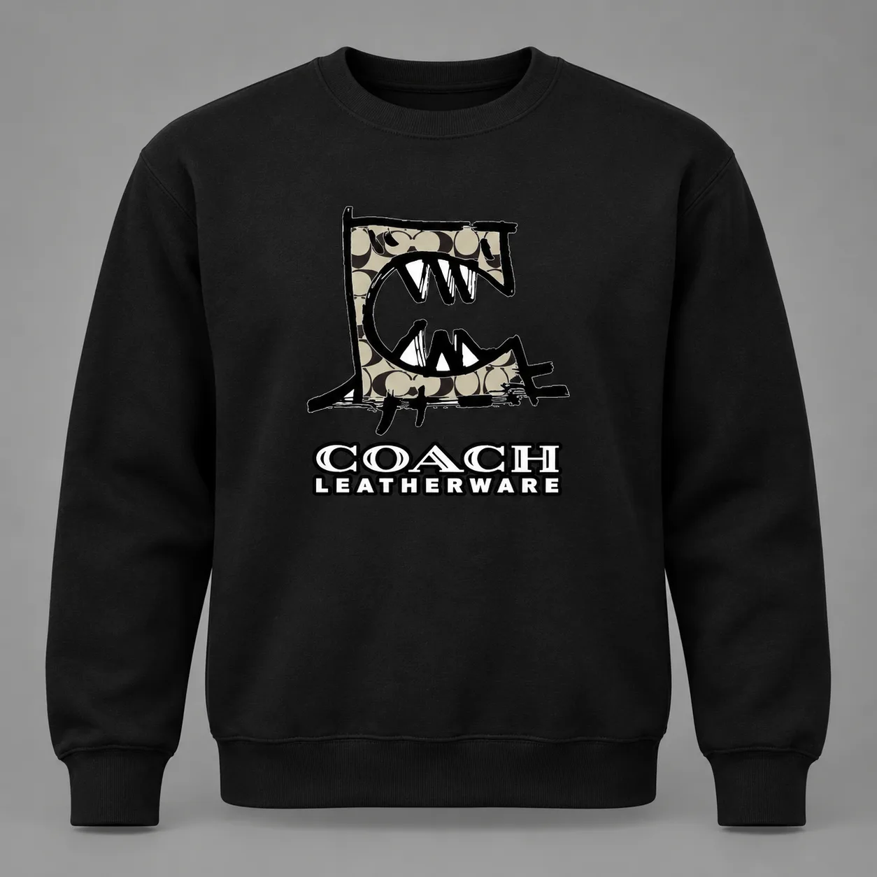 Coach Stero