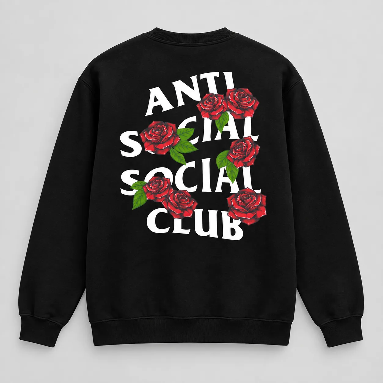 Ant Ster 003